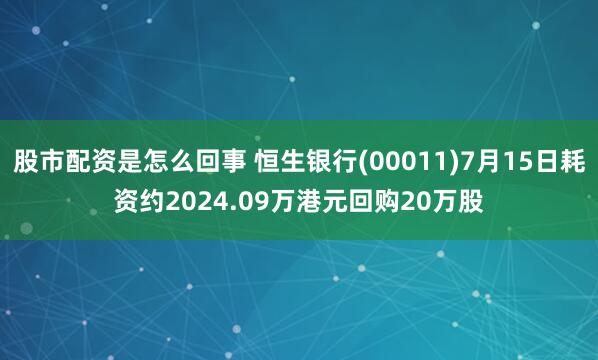 股市配资是怎么回事 恒生银行(00011)7月15日耗资约2024.09万港元回购20万股